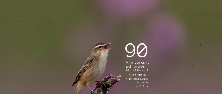 Dorchester Camera Club 90th Anniversary Exhibition
